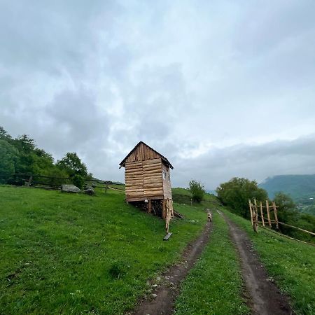 Alereks Mountain Camping Tumanyan 외부 사진