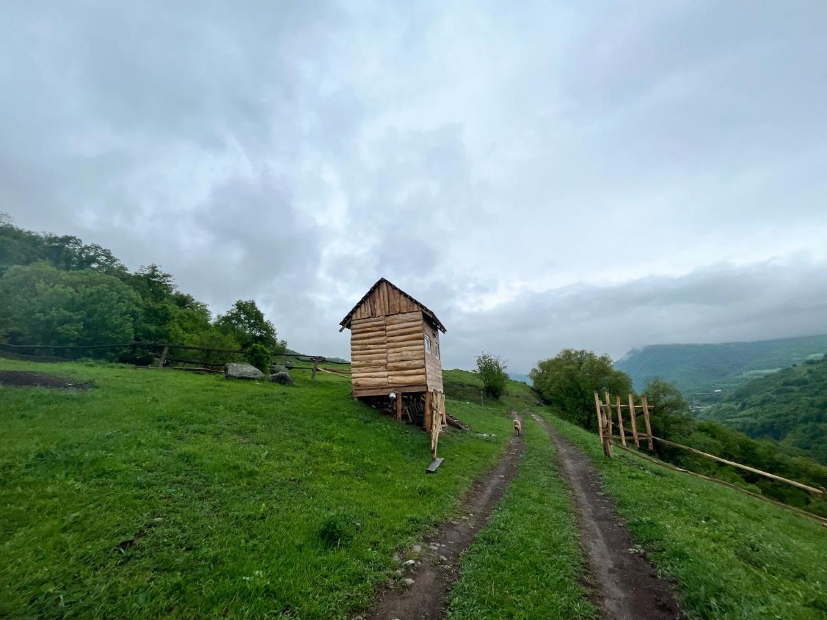 Alereks Mountain Camping Tumanyan 외부 사진